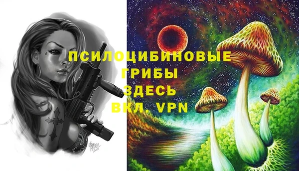 бутират Бородино