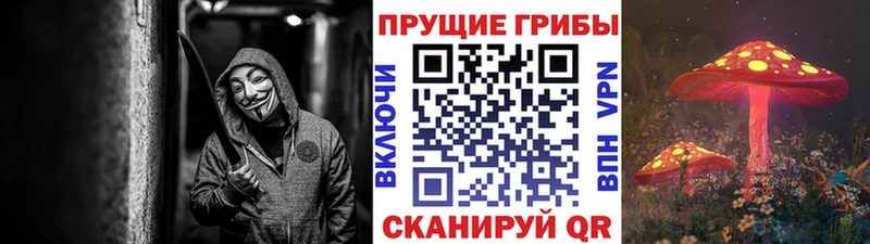 shop телеграм  Свободный  Галлюциногенные грибы Psilocybe  наркота 