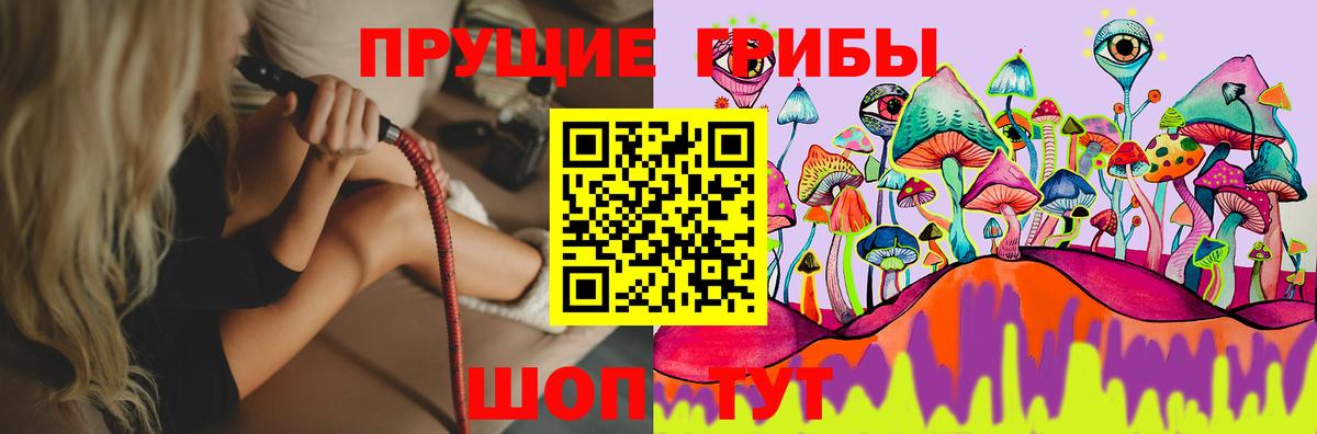 Свободный  Псилоцибиновые грибы мухоморы  где купить наркотик  Вход с VPN 